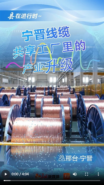 產業升級新篇章 寧晉線纜共享工廠的變革之路