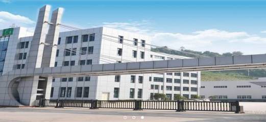 重慶市電纜行業 山城脈絡，賦能發展新篇章